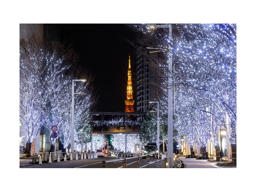 けやき坂イルミネーション（提供写真）