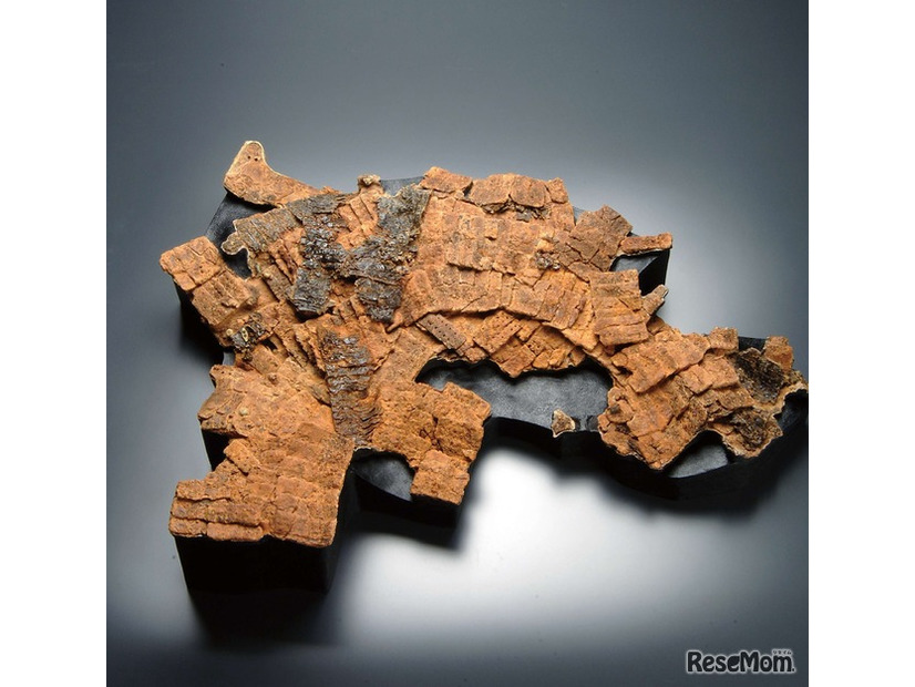 甲小札（端谷城跡、神戸市提供）