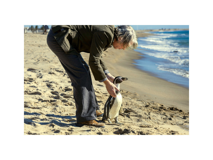 『ペンギン・レッスン』