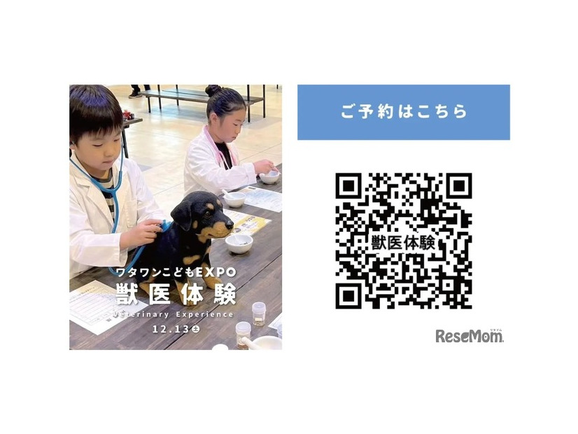 獣医さん体験（4回実施、各回5名限定・先着制）