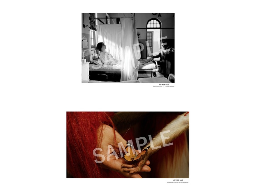 『落下の王国』4Kデジタルリマスター版© 2006 Googly Films, LLC. All Rights Reserved.