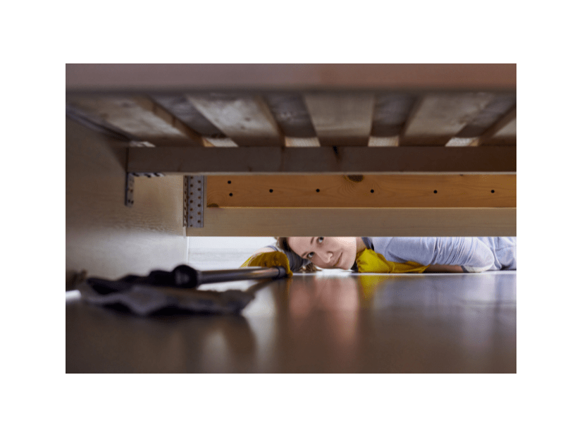 ベッドの下からの「ガサゴソ」と音がして違和感。恐る恐る覗いた瞬間⇒「力が抜けた」「なんとも愛おしい」