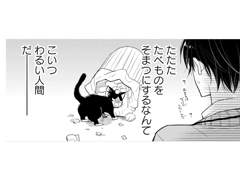 【猫視点】食べ物につられて来ちゃったけど、この人間、なにも食べない!? なんで!?【同居人はひざ、時々、頭のうえ。 #８】