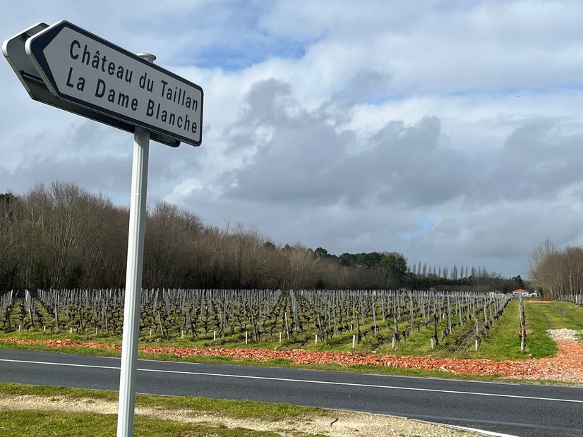 48歳、看護師を辞めてフランスへ。言葉も分からず、知り合いもない町で人生が動きはじめた「小さな習慣」とは【2025年度ベスト記事セレクション】