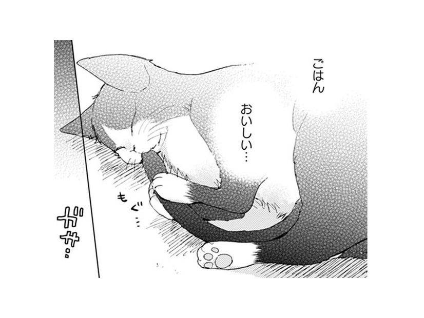 【猫視点】人間がなんだかブツブツ言ってる。うるさいなぁ… と思っていたら聞き覚えのある言葉が!!【同居人はひざ、時々、頭のうえ。 #20】