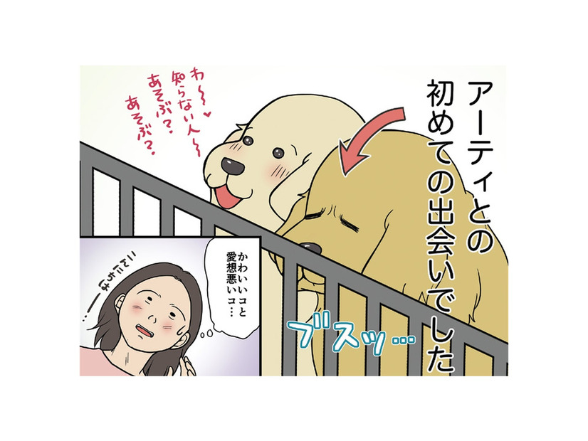 初めての出会いはブスっとした顔…愛想のない仔犬との共同生活の始まり…【おさんぽですし！　おしゃべり犬とイライラ猫の日記 #１】