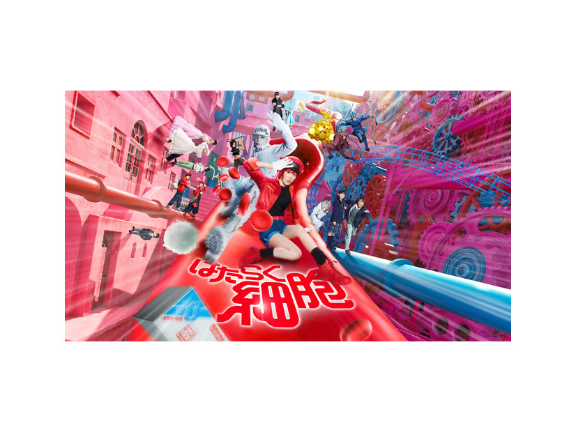 『はたらく細胞』©清水茜／講談社 ©原田重光・初嘉屋一生・清水茜／講談社 ©2024 映画「はたらく細胞」製作委員会