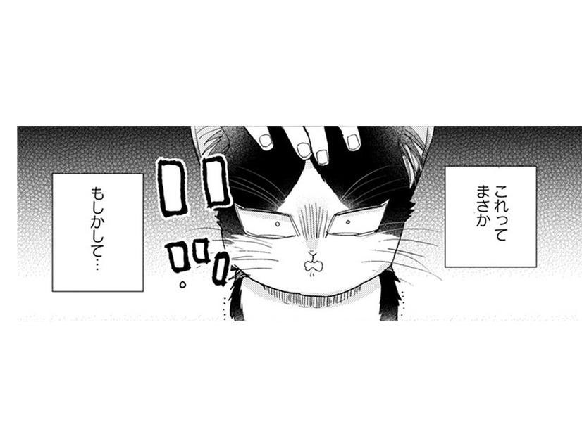 【猫視点】ごはんの言葉が聞こえた！ まだあるのかと思ったらない！だまされた～!!【同居人はひざ、時々、頭のうえ。 #31】