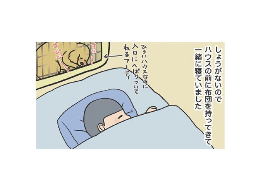 ゲージから離れると鳴き出す、初めての夜。愛犬のそばに布団を運んで眠たのは想い出深い…【おさんぽですし！　おしゃべり犬とイライラ猫の日記 #３】