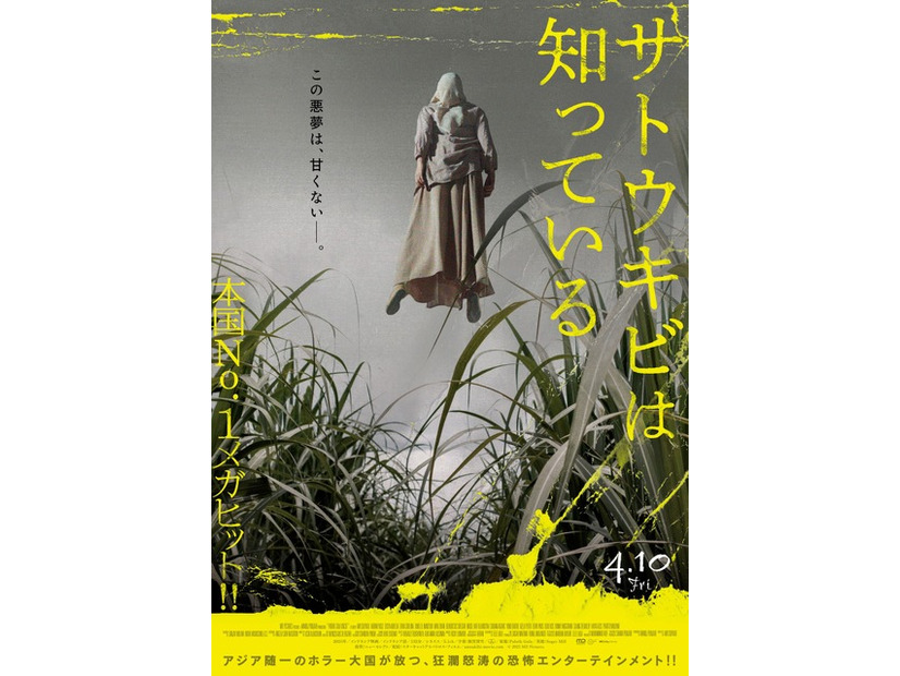 『サトウキビは知っている』© 2025 MD Pictures