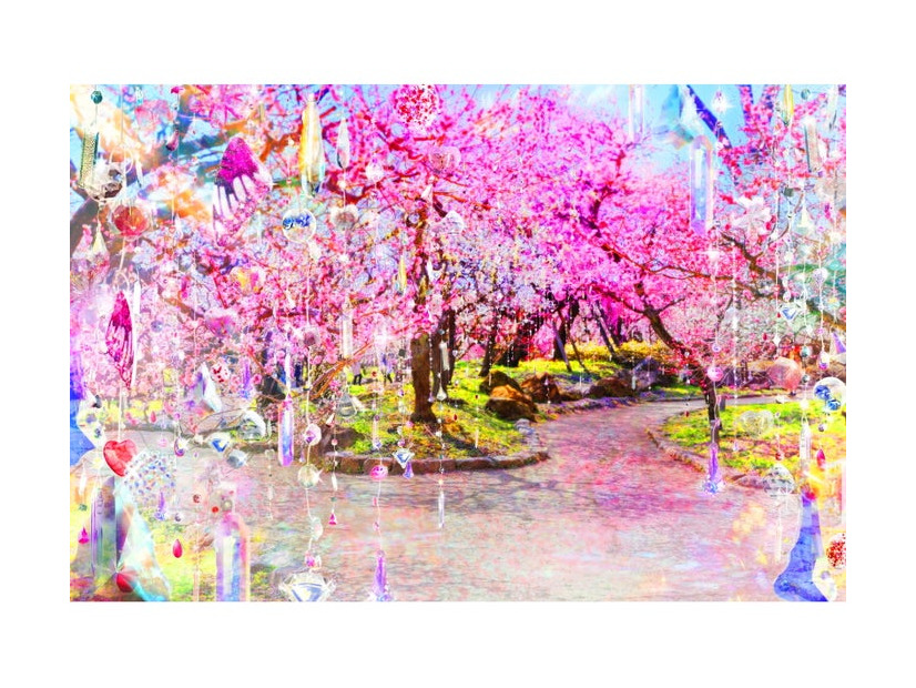 KYOTO NIPPON FESTIVAL 2026 -時をこえ、華ひらく庭-／提供写真