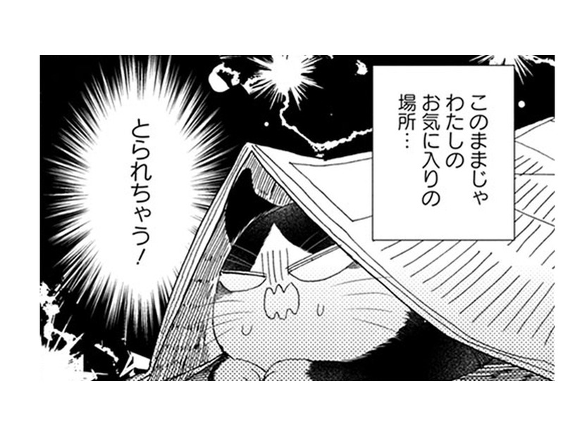 【猫視点】ぼや～んとしたヤツがずっと家にいる！ このままじゃ私の居場所をとられちゃう!!【同居人はひざ、時々、頭のうえ。 #40】