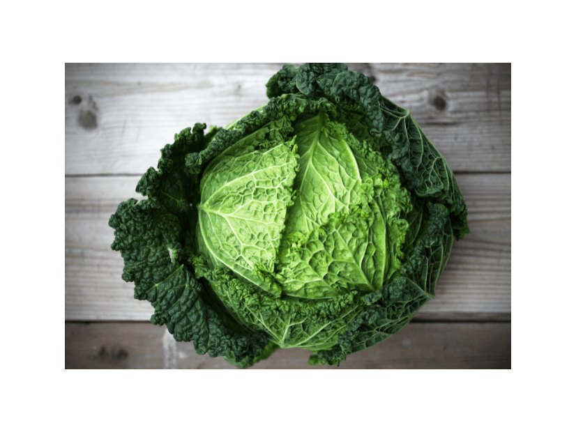 買ったキャベツを廊下に放置→しかし次の瞬間…愛犬の”まさかの行動”に「何これ！」