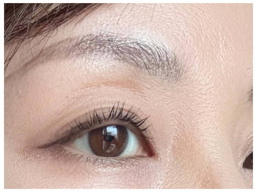 40・50代はコレ買って！「４万点のコスメを試した」49歳辛口ライターが推す、2026年発売のセザンヌ新作コスメ第1位