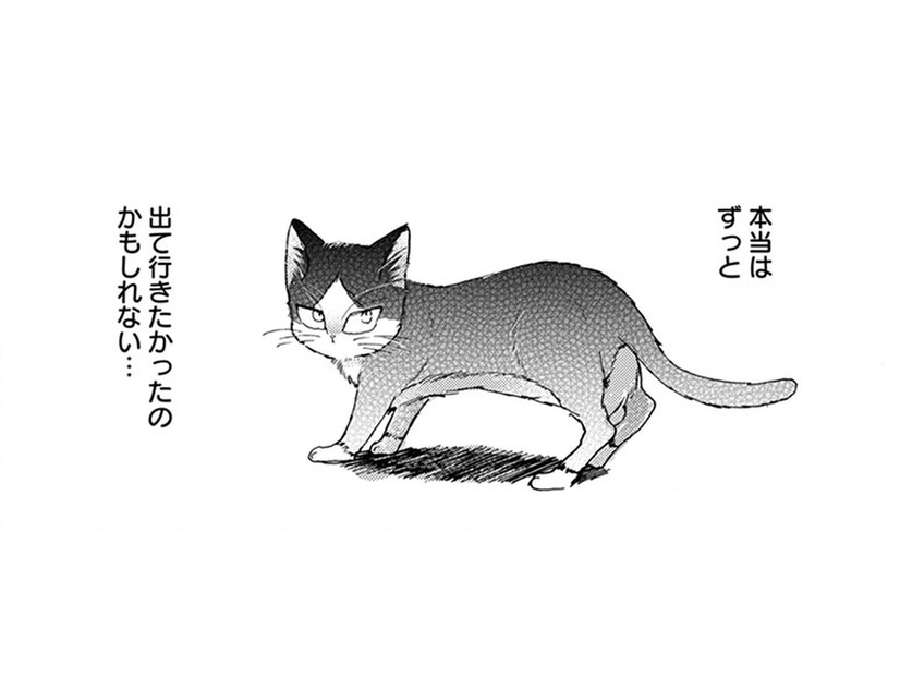 「出て行ったのは猫の意思」だけど、事故にあった両親を思い出して… もう後悔したくない!!【同居人はひざ、時々、頭のうえ。 #47】