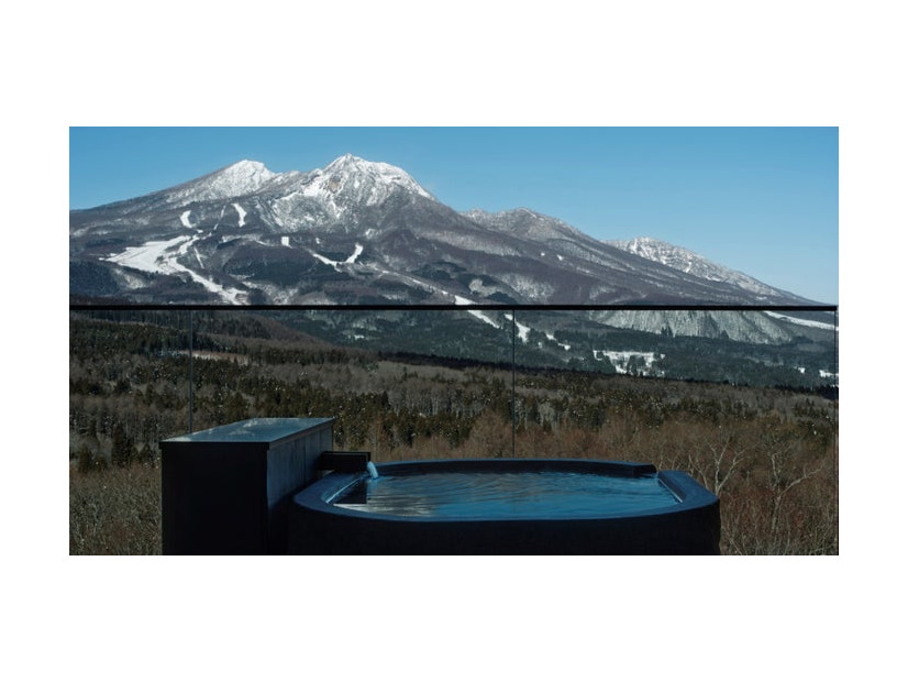 ロマ（提供写真）