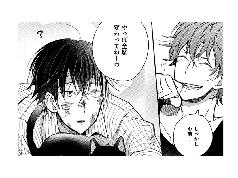 待っているものは違うけれど、帰りたいと願う場所がそれぞれにある。人間たちにも …猫にも【同居人はひざ、時々、頭のうえ。 #50】