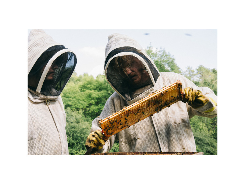 『ブゴニア』(C)2025 FOCUS FEATURES LLC.