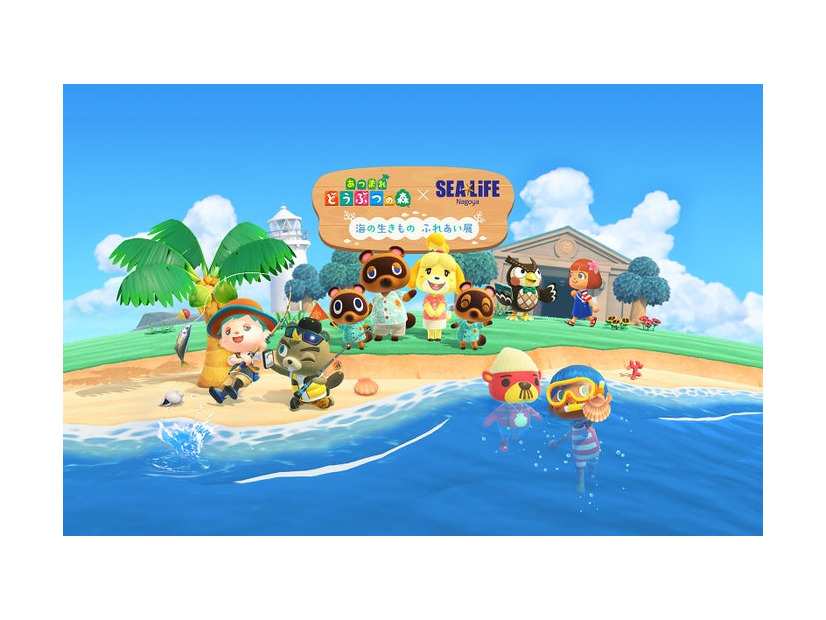 あつまれ どうぶつの森 × 名古屋シーライフ水族館 海の生きもの ふれあい展（提供写真）