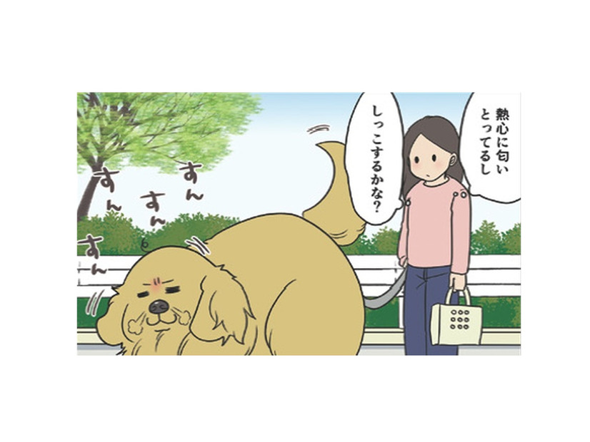 排水溝のすきまに吸い込まれた?! 恐るべし、愛犬の消えたしっこ事件…【おさんぽですし！　おしゃべり犬とイライラ猫の日記 #15】