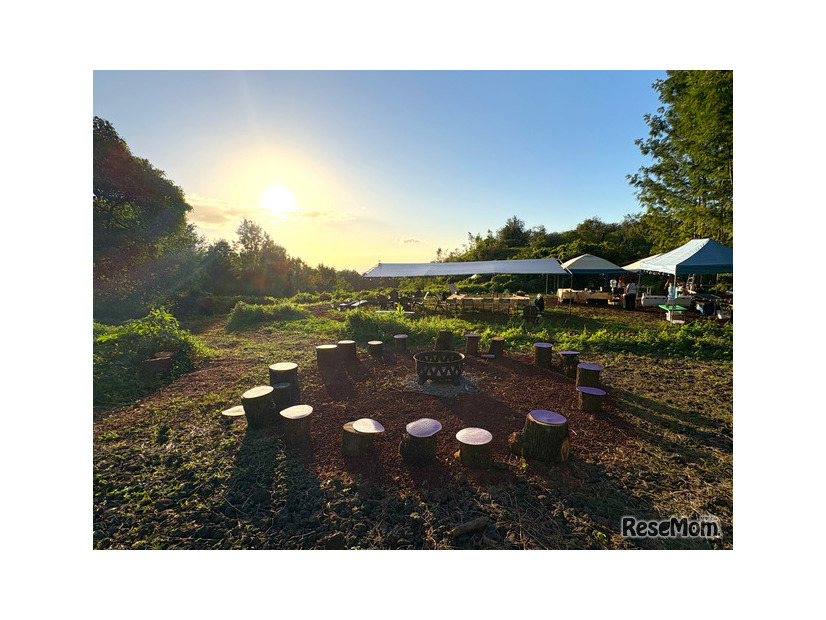 SOSHI Aloha Camp 敷地内