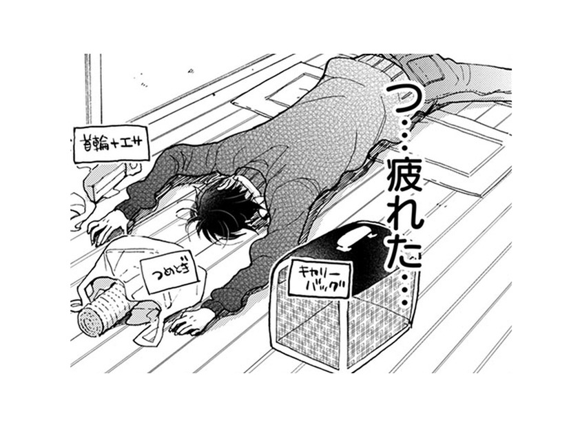 猫連れの知らない女性に話しかけられて、普通にしゃべれてる自分に驚き！え？ 病院で検査!?【同居人はひざ、時々、頭のうえ。 #59】