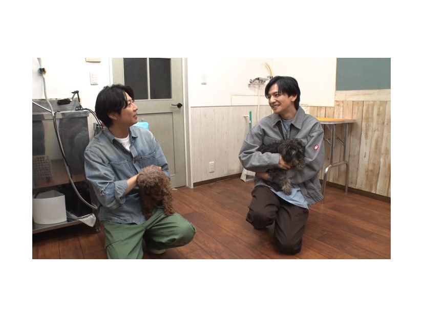 相葉雅紀、生田斗真（C）日本テレビ