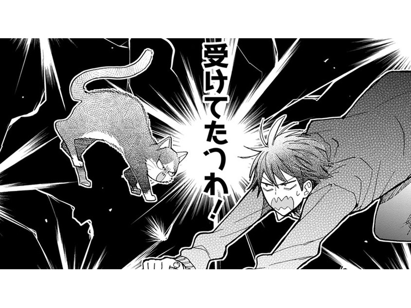【猫視点】また人間が倒れていたけど、今日はいつになく真剣な顔！これは… 勝負ね!!【同居人はひざ、時々、頭のうえ。 #61】