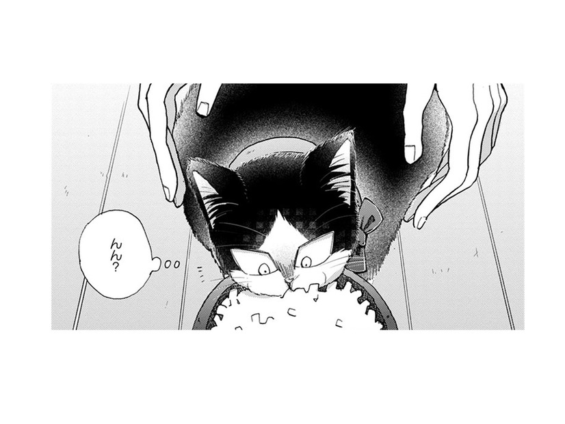 【猫視点】人間が首に何かつけてきた。なんだかやな感じ。だけど安心もする… まあいいか♪【同居人はひざ、時々、頭のうえ。 #62】