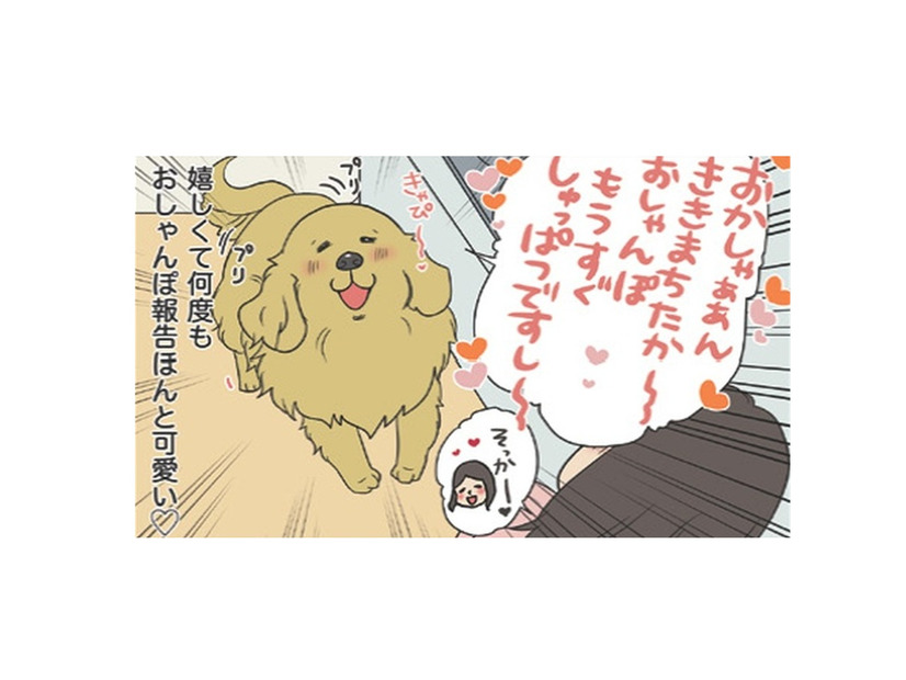 「お散歩行こうか」の声に大興奮…うれしくて何度も報告する愛犬の姿がかわいい【おさんぽですし！　おしゃべり犬とイライラ猫の日記 #17】