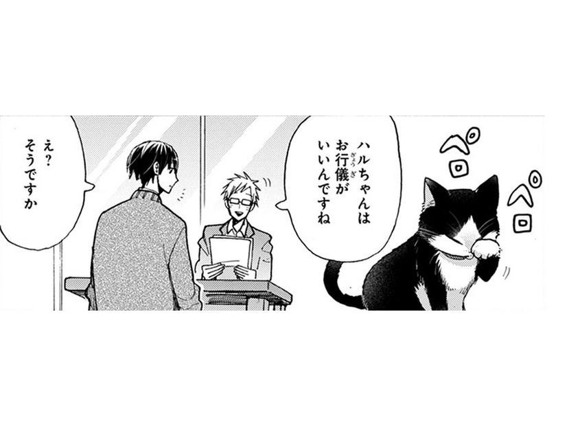 猫と生活していると爪とぎ跡があるはずなのに、見当たらない… どこで爪とぎしているのかな？〈4コマ漫画〉【同居人はひざ、時々、頭のうえ。 #63】