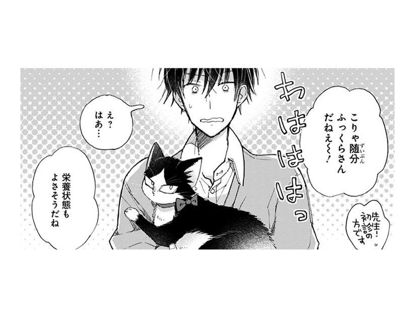 猫を病院で検査したら、太り気味と言われた！おやつなんてあげてないのになぜ…？【同居人はひざ、時々、頭のうえ。 #65】