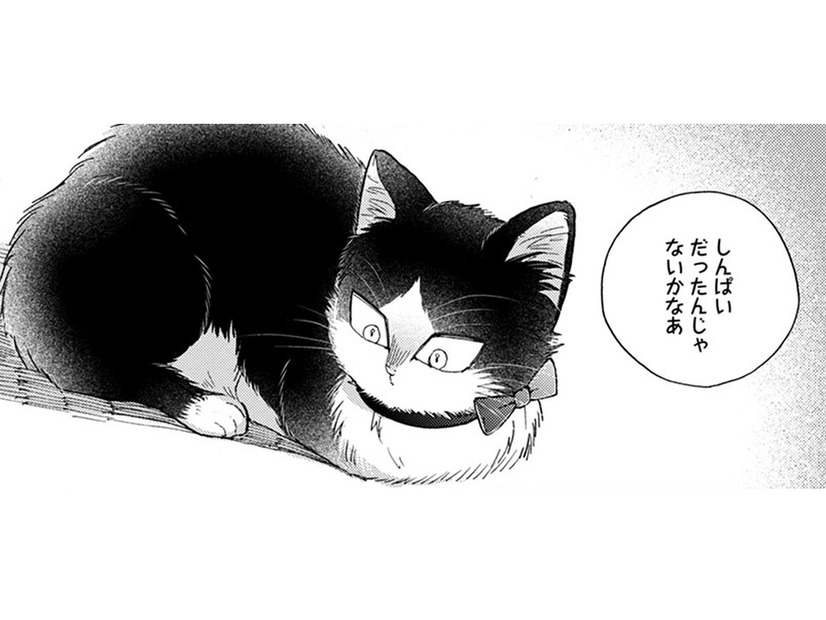 【猫視点】ぐったりしてると犬が話しかけてきた。あの子が私の事を心配してる？家族って何？【同居人はひざ、時々、頭のうえ。 #71】