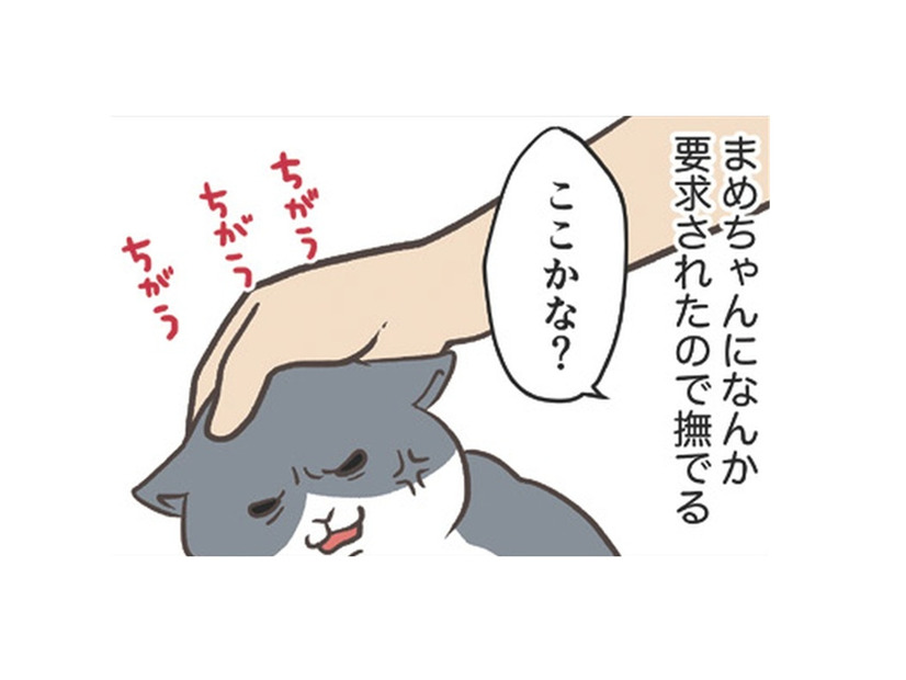 愛猫にねだられ、なでなでタイム。まさか「肉球」を触って欲しいなんてことあるんだ…【おさんぽですし！　おしゃべり犬とイライラ猫の日記 #22】