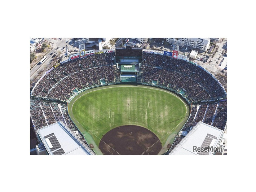 第98回選抜高等学校野球大会