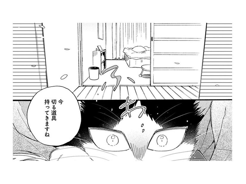 【猫視点】人間の部屋の中からただよって来た… 私の知っているにおい!!【同居人はひざ、時々、頭のうえ。 #83】