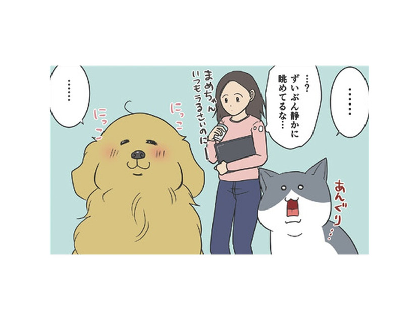 カラスの巣作りの季節到来。静かに様子を眺める猫と犬…実はビビってただけ？【おさんぽですし！　おしゃべり犬とイライラ猫の日記 #29】