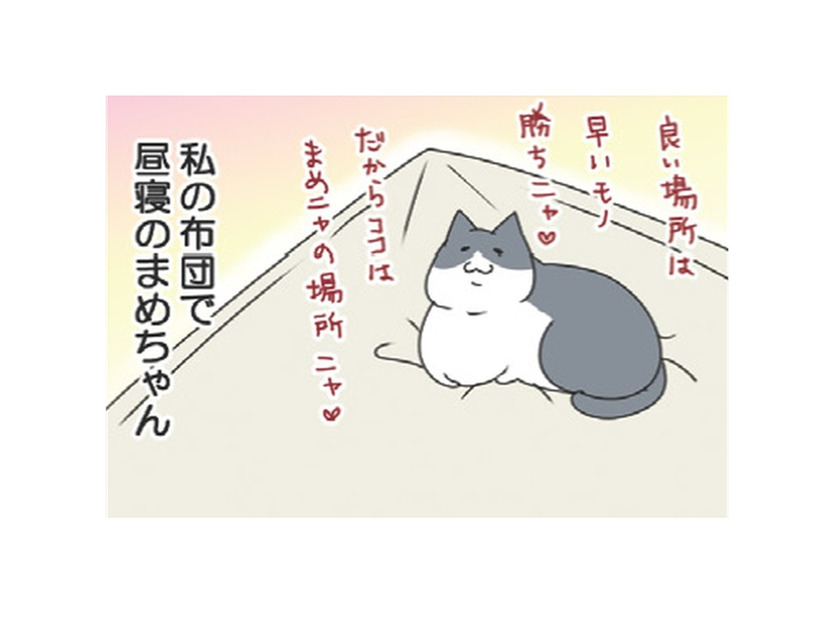 「たまらない」私の布団で昼寝してた愛猫。後に残ったほのかな温もりが至福のひととき【おさんぽですし！　おしゃべり犬とイライラ猫の日記 #32】