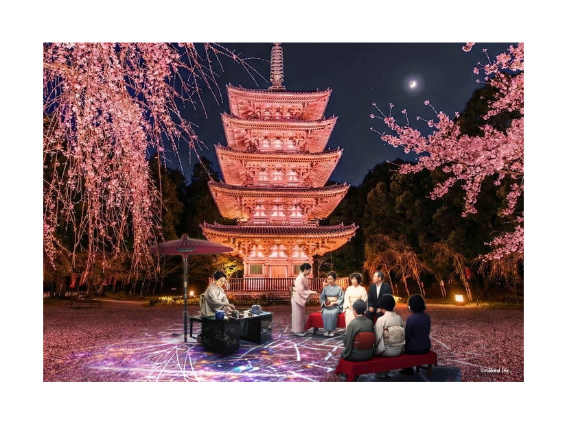 そうだ 京都、行こう。Presents NAKED meets 世界遺産 醍醐寺 —醍醐花見 ―／提供画像