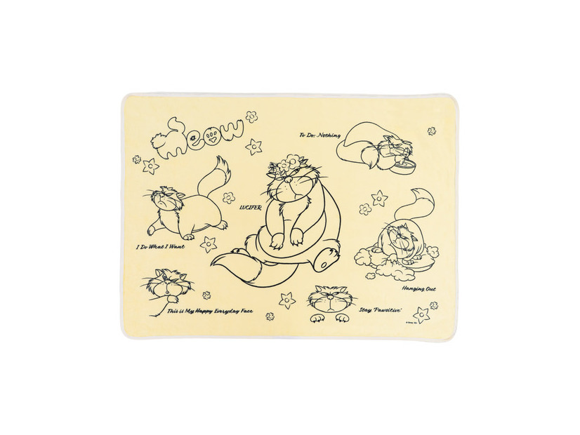 LAST賞 ぬいぐるみ付きブランケット©Disney