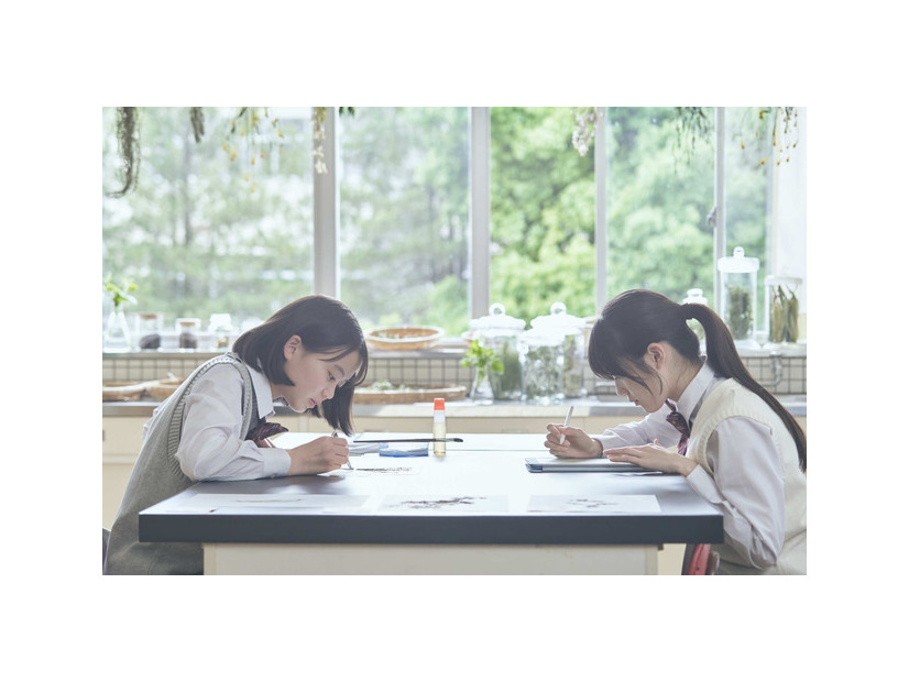 『ザッケン！』　2026上村奈帆・モノガタリラボ・プクプク／小学館／『ザッケン！』製作委員会