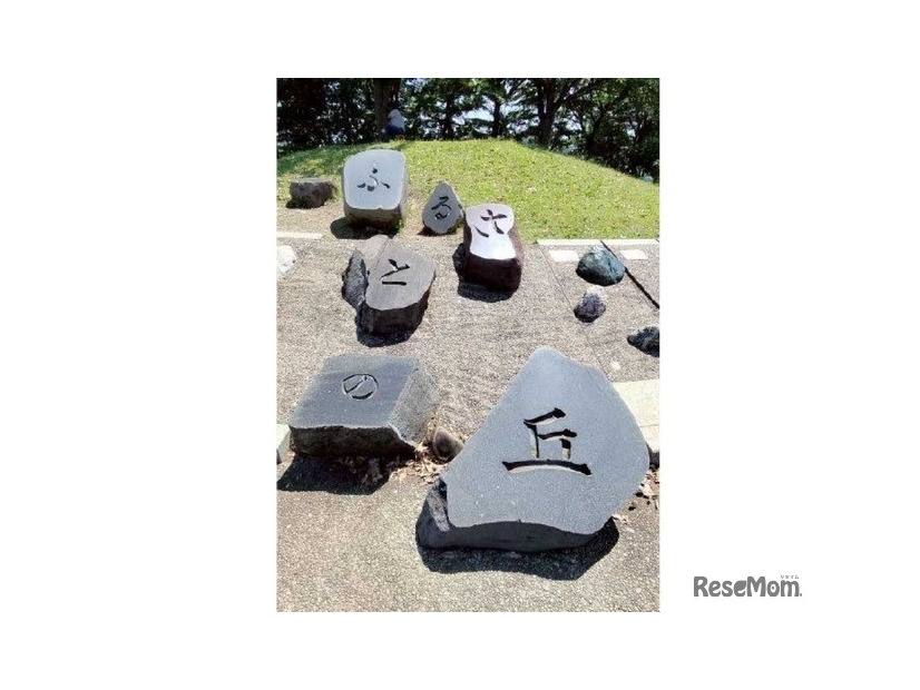 都立武蔵野の森公園で47都道府県の石の観察会