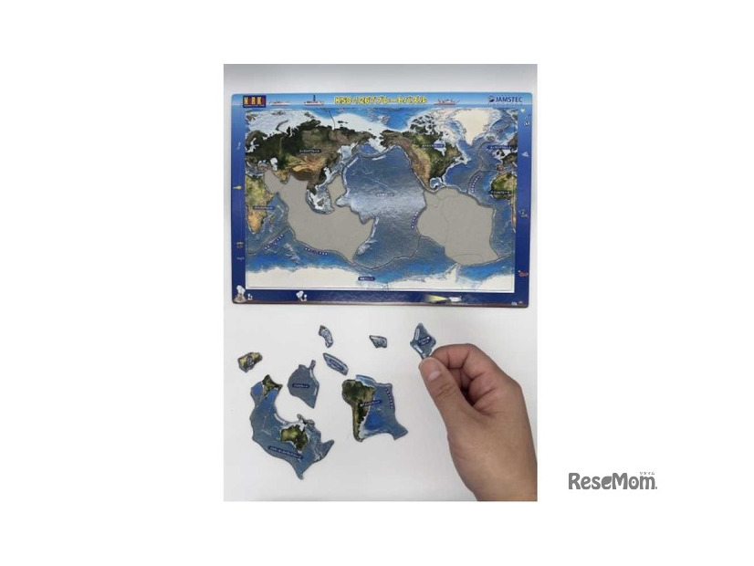 プレートのパズル