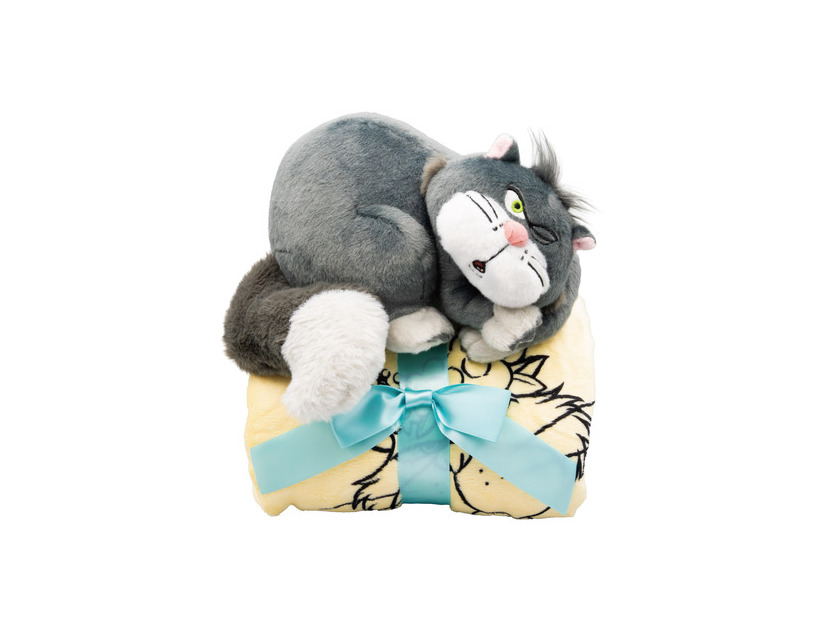 LAST賞 ぬいぐるみ付きブランケット©Disney