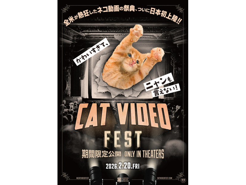 『CatVideoFest』