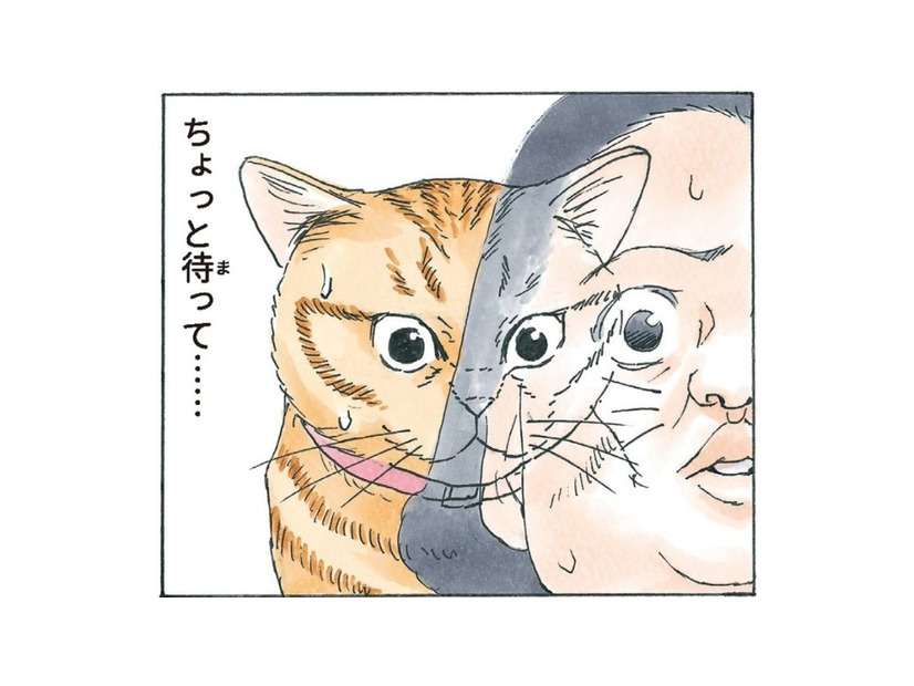 いつの間にかしっぽが２本に…動揺していたら人間にぶつかり、猫と人が入れ替わる!?【かのこちゃんとマドレーヌ夫人 #９】