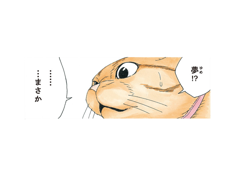 リアルすぎて夢と現実の区別がつかない！「夢のはずない」と語る犬が見た夢とは？【かのこちゃんとマドレーヌ夫人 #11】