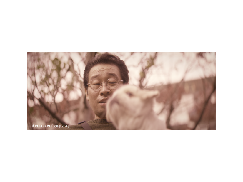 『犬も歩けば』