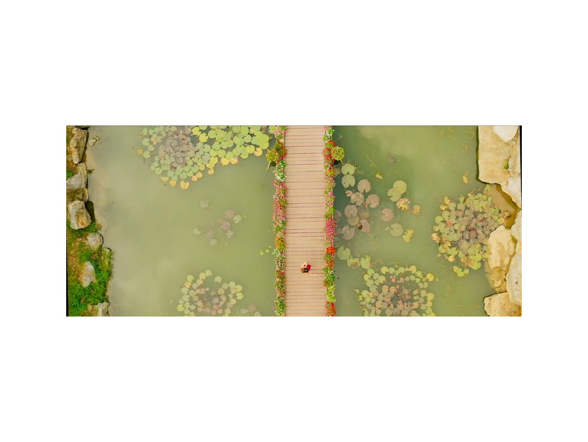 『タトゥーウィッチと呼ばれて』