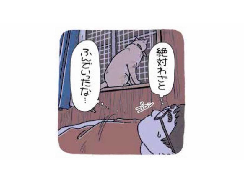 「絶対わざと踏んだよね？」猫のわかりやすい行動に隠れた理由【猫がおしりを向けてきます #５】